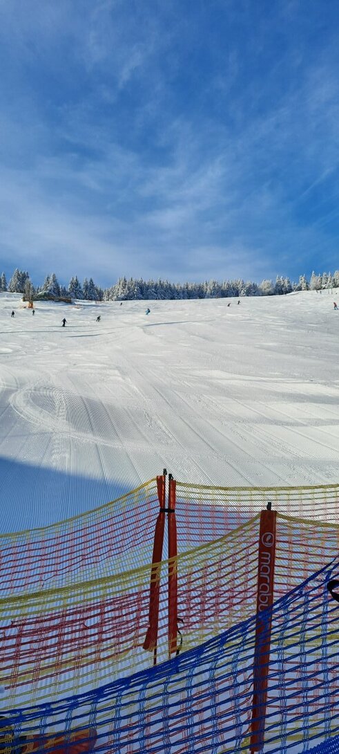 20210131_092436.jpg