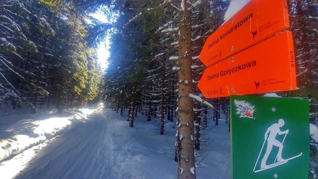 20210201_132206_HDR-01.jpeg