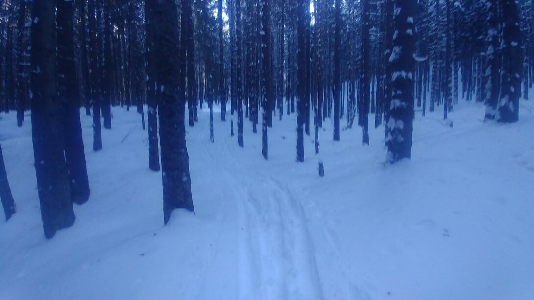 20210201_133727.jpg