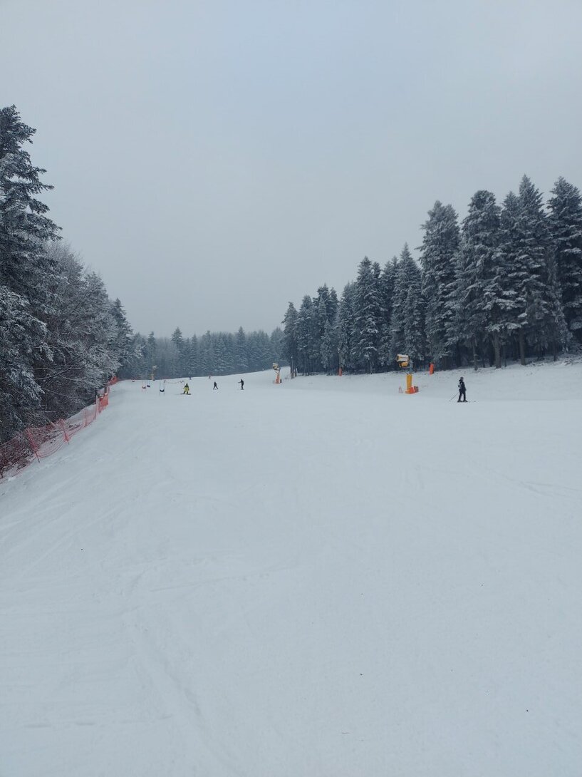 20210208_134736.jpg
