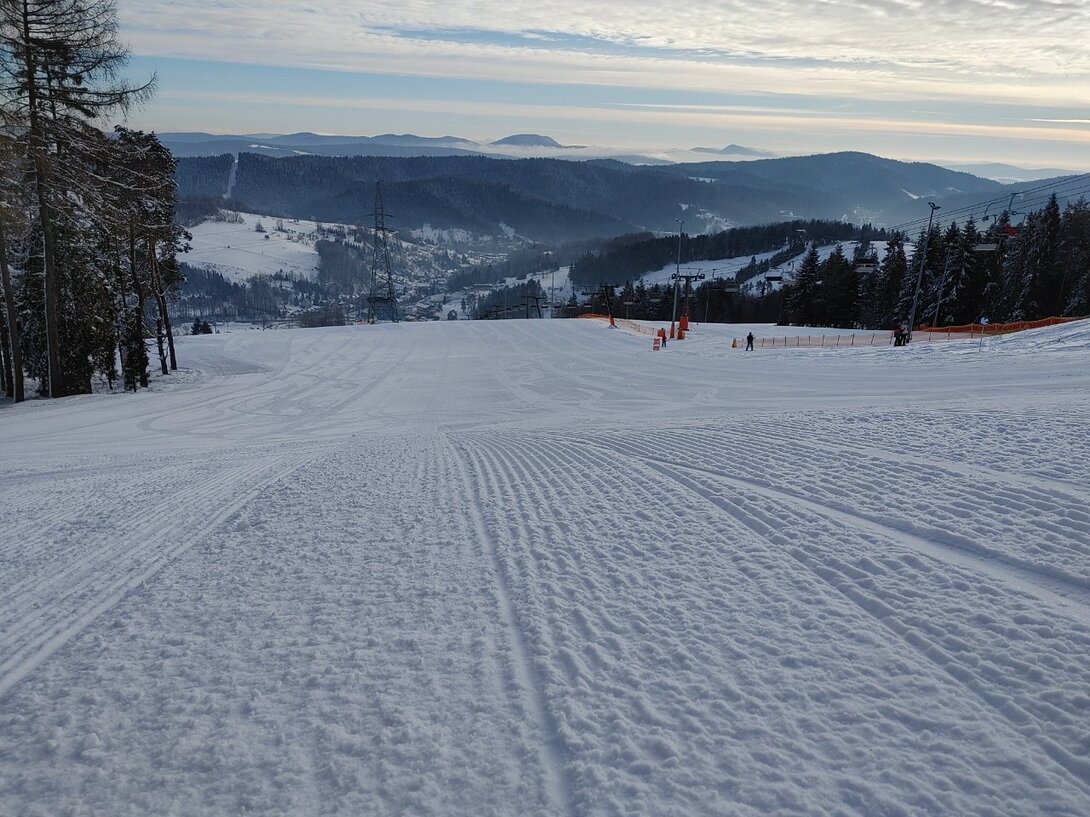 20210216_082747_HDR.thumb.jpg.246ed4b14ecbaf8716d8f9630ad2280c.jpg