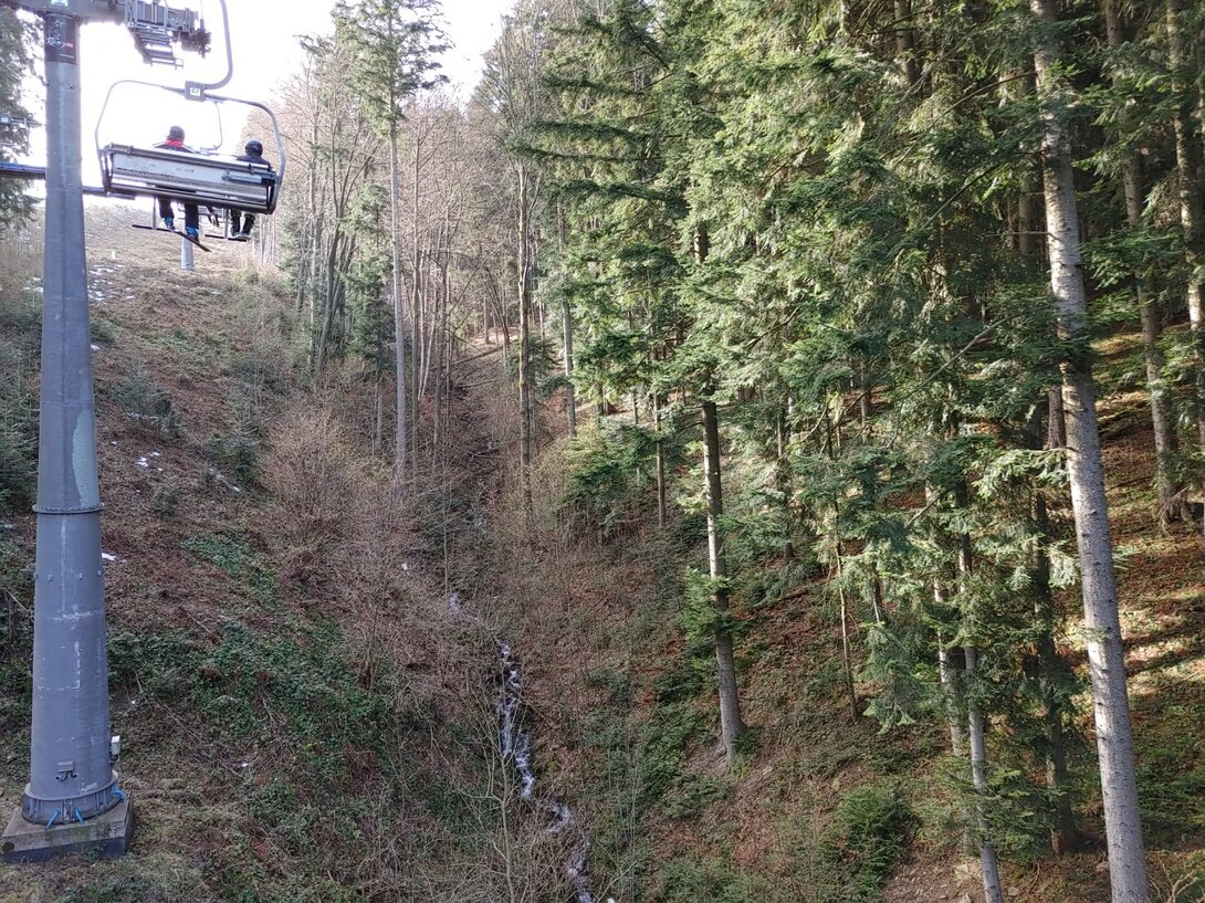 20210225_094101_HDR.thumb.jpg.7fedf035d00d289171564aeb2a2c1ef8.jpg