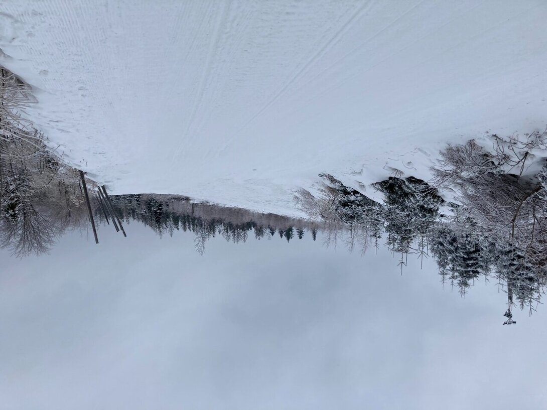 BF64AA33-30FB-435C-8FEB-4AF292501FA9.jpeg