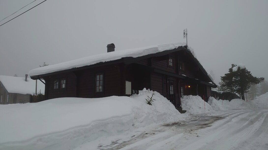 DSC_2317.JPG