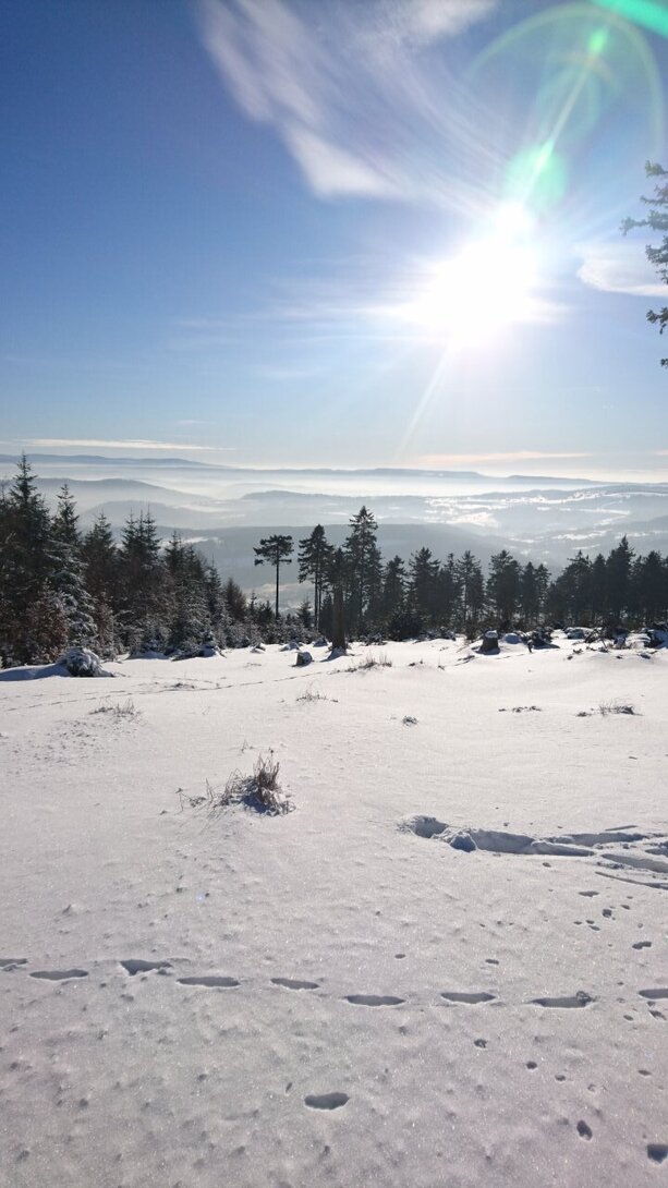DSC_2912.JPG