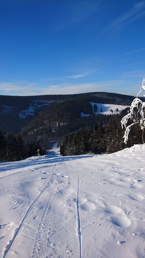 DSC_2927.JPG