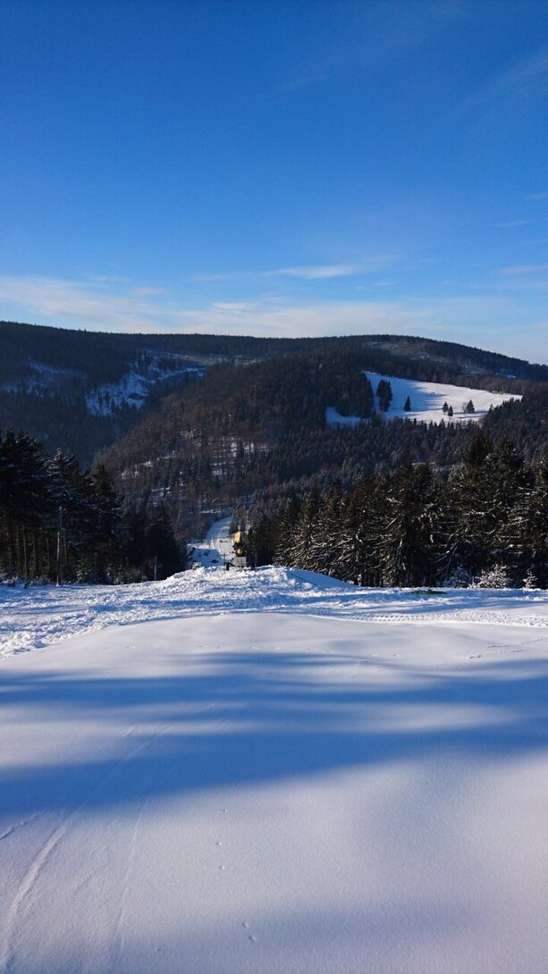 DSC_2929.JPG