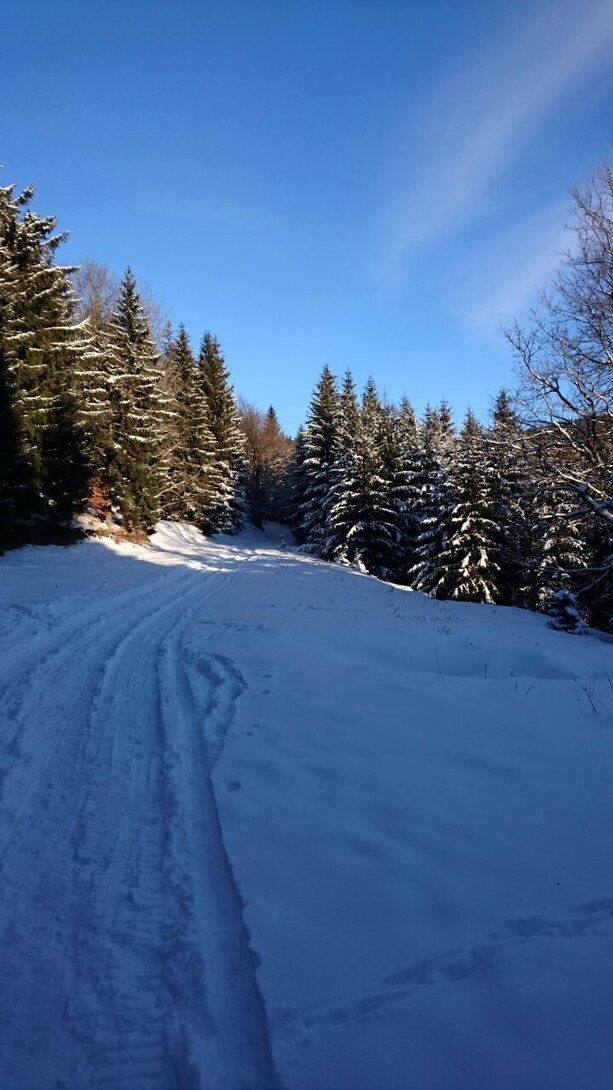 DSC_2997.JPG