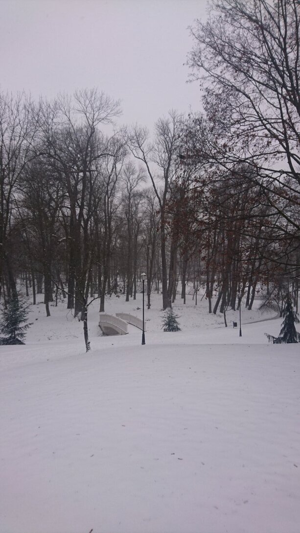 DSC_3210.JPG