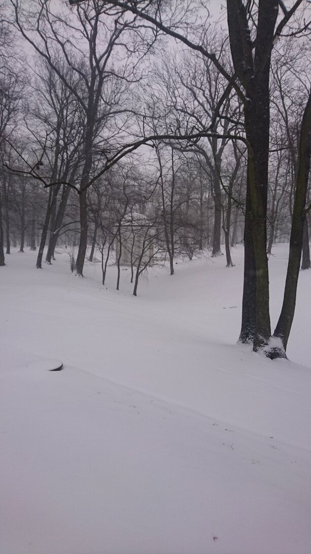 DSC_3218.JPG