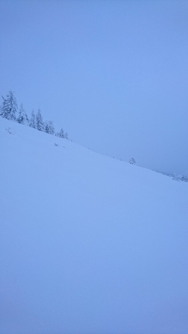 DSC_3642.JPG