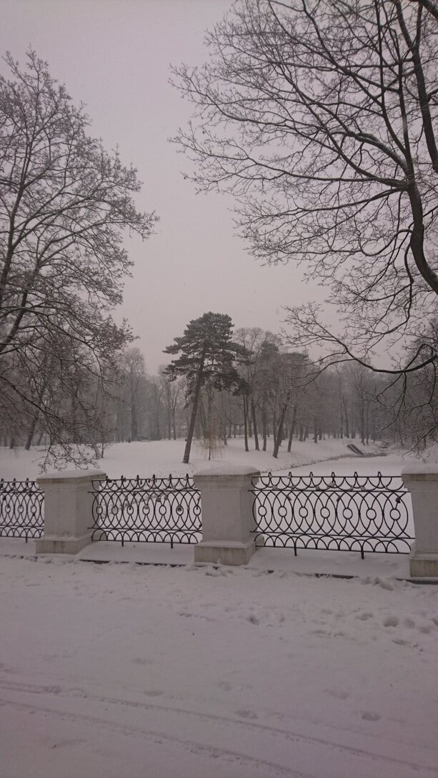 DSC_4013.JPG