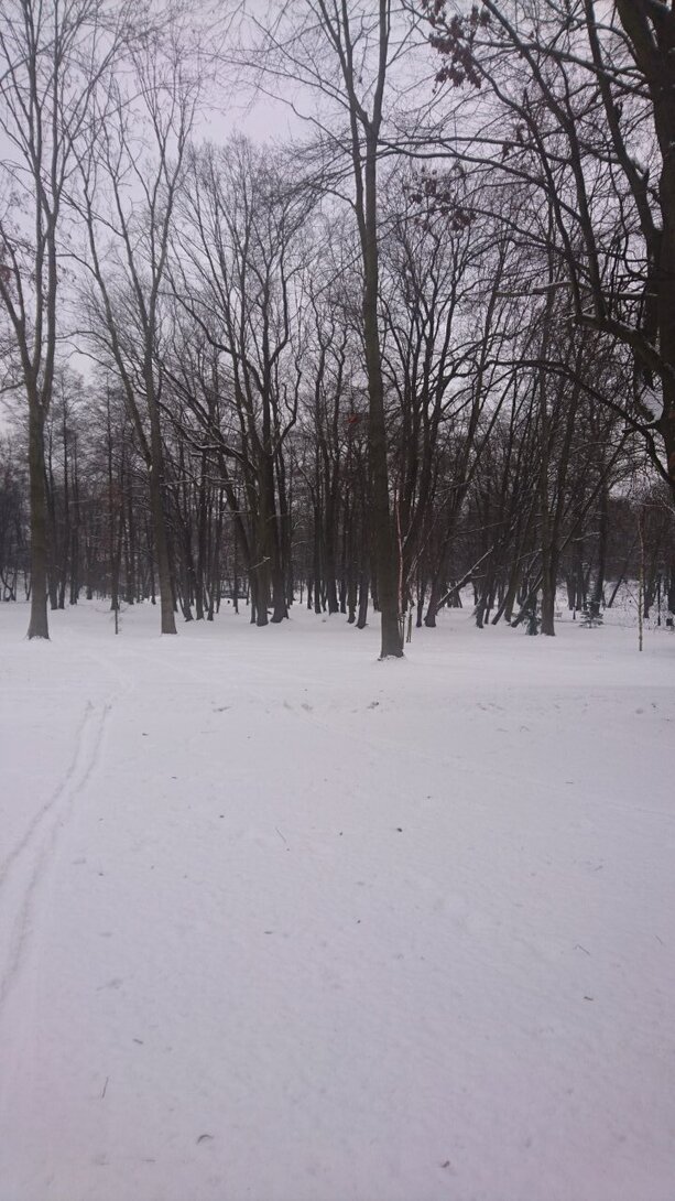 DSC_4029.JPG