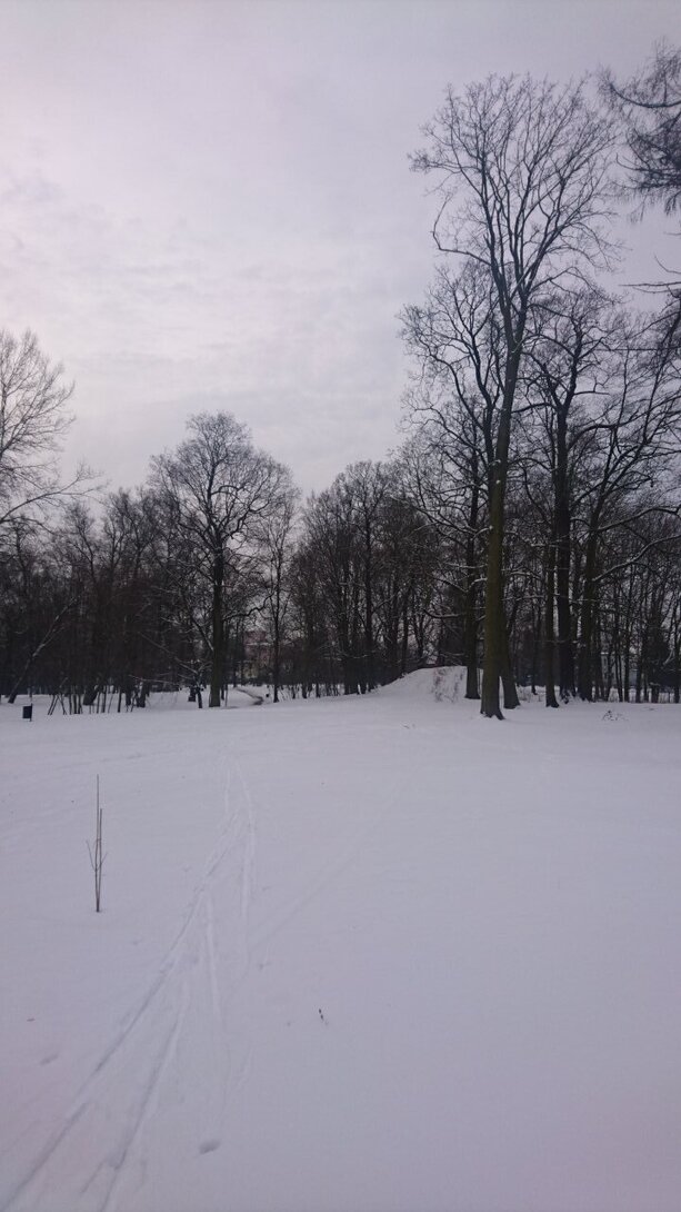 DSC_4034.JPG