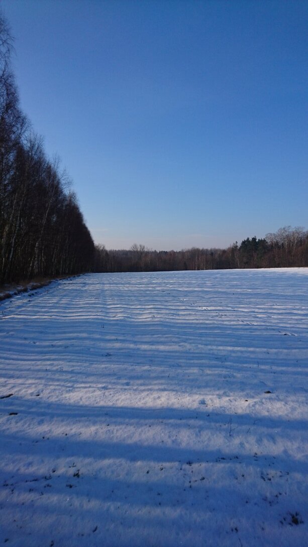 DSC_4196.JPG