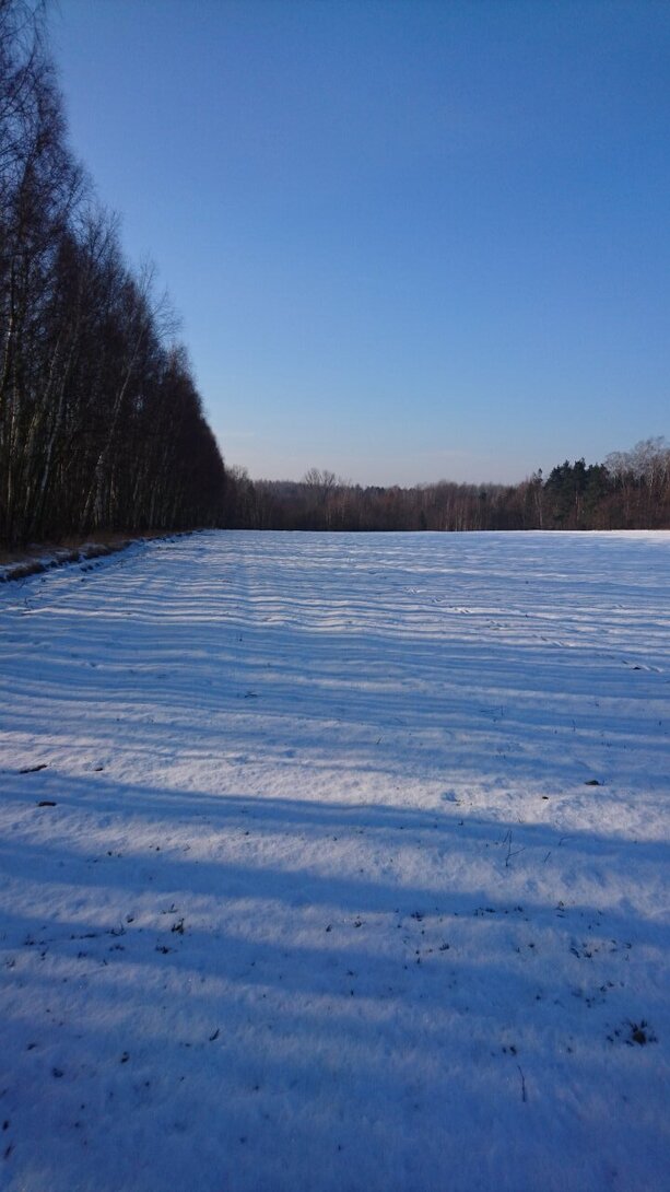 DSC_4197.JPG