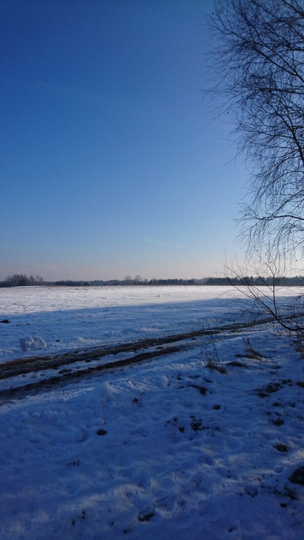 DSC_4198.JPG