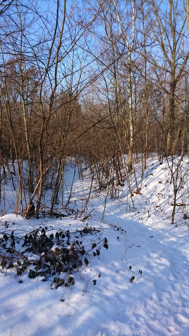 DSC_4203.JPG