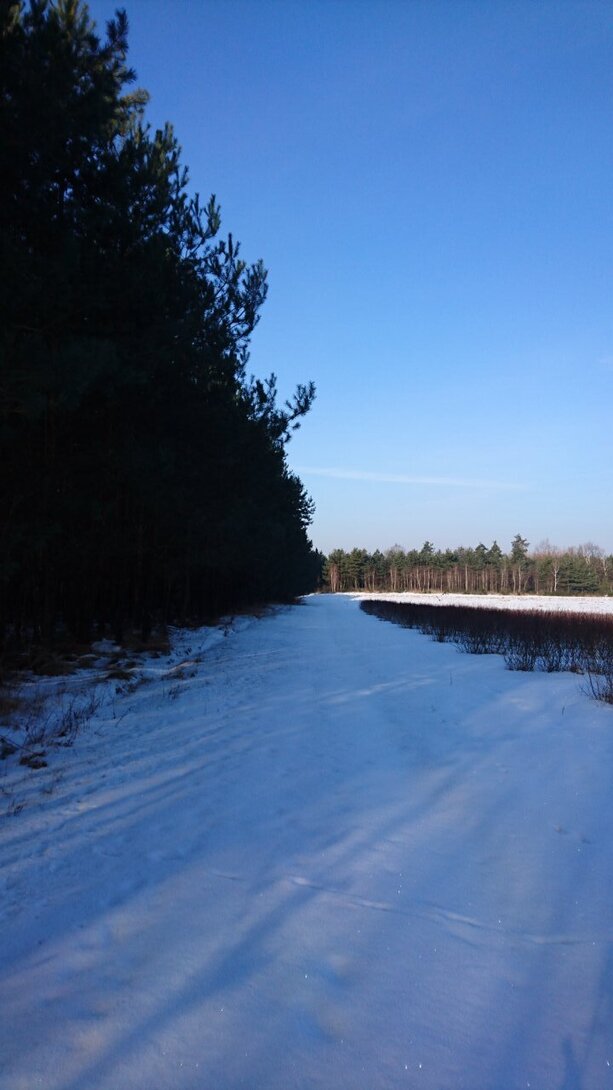 DSC_4214.JPG