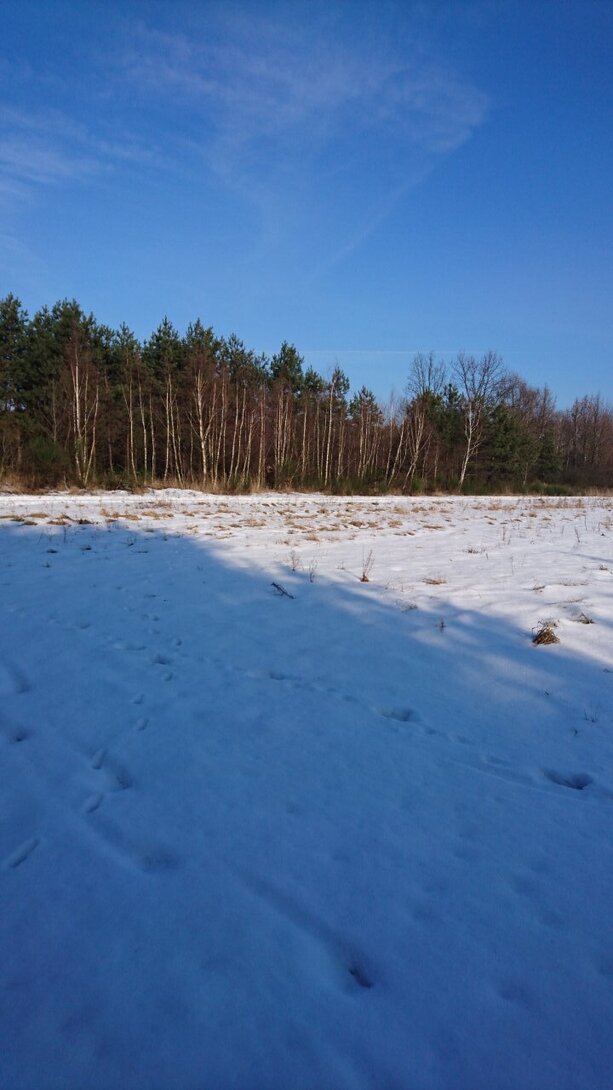 DSC_4219.JPG