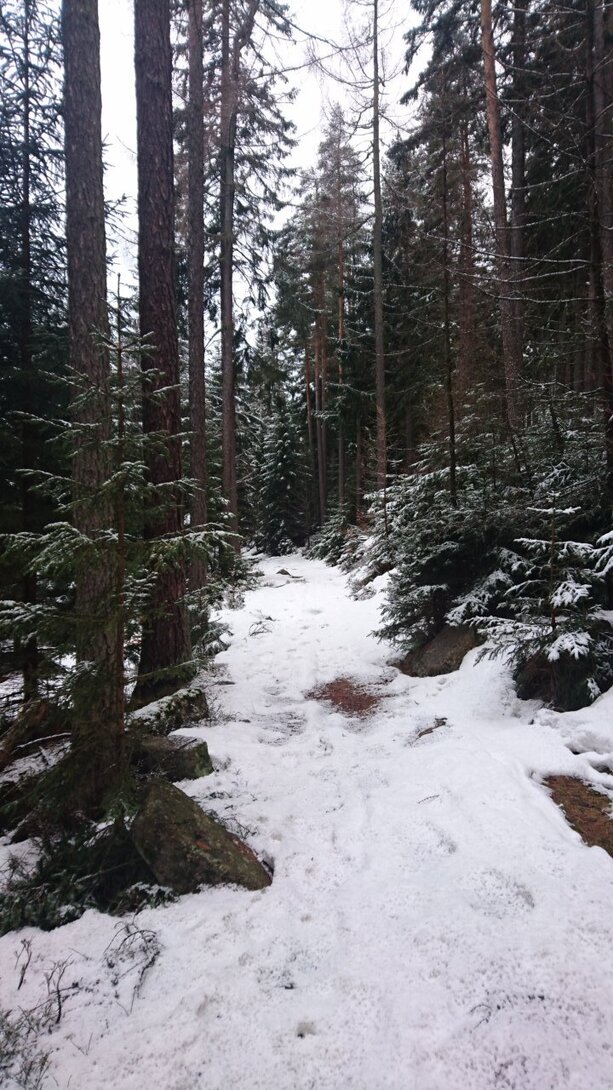 DSC_4406.JPG
