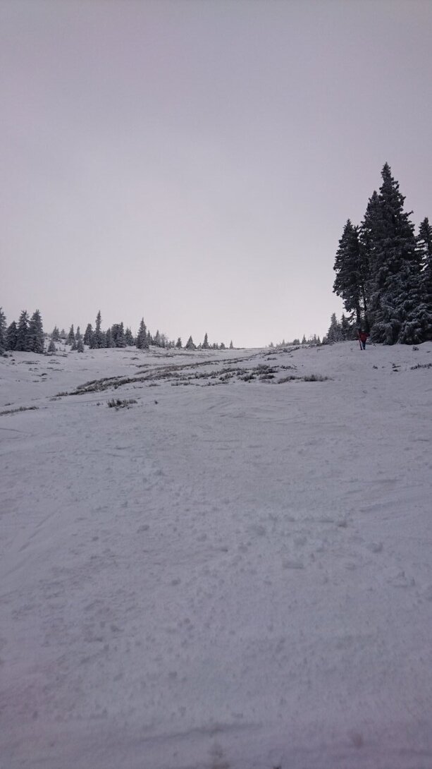 DSC_4462.JPG