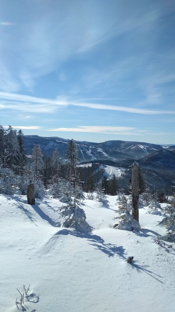 IMG_20210201_103928.jpg