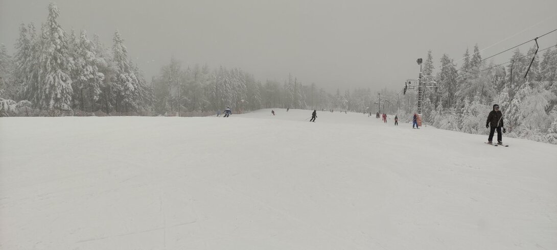IMG_20210218_125551.jpg