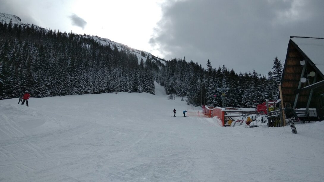IMG_20210219_100630.jpg