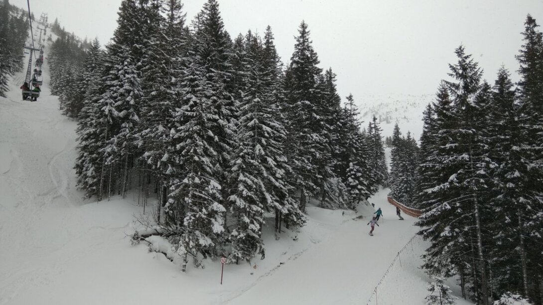 IMG_20210219_114149.jpg