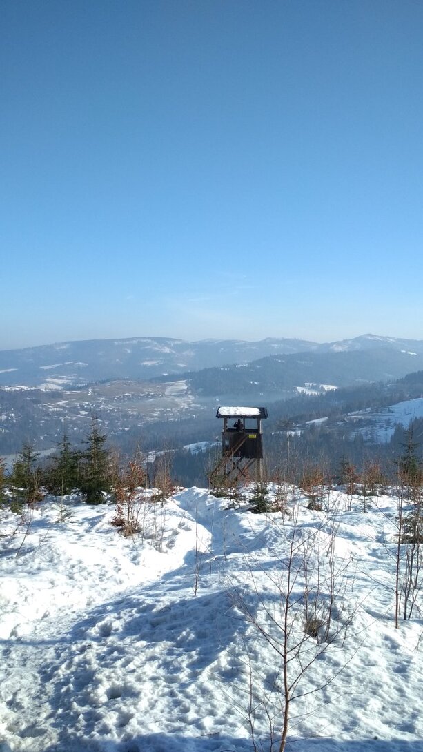 IMG_20210223_085114.jpg