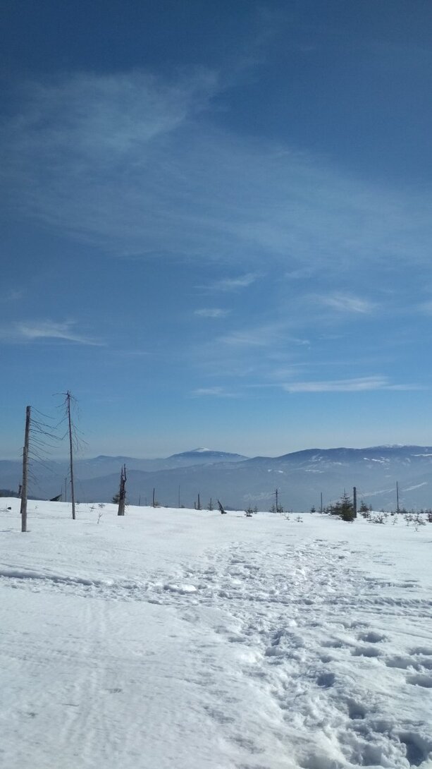IMG_20210223_111723.jpg