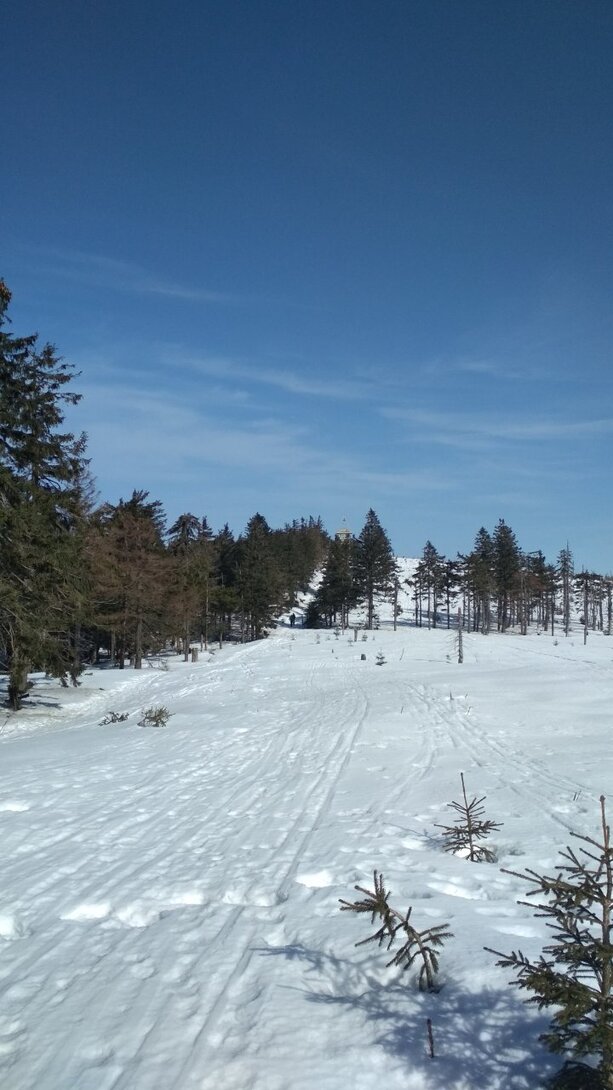 IMG_20210223_111749.jpg