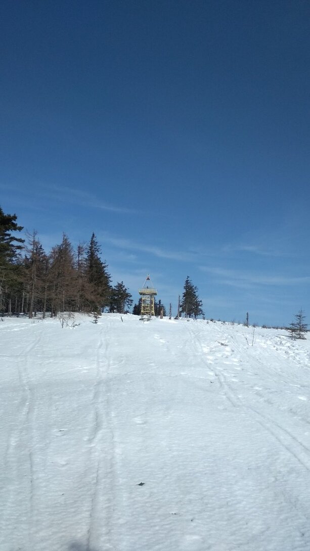 IMG_20210223_112009.jpg