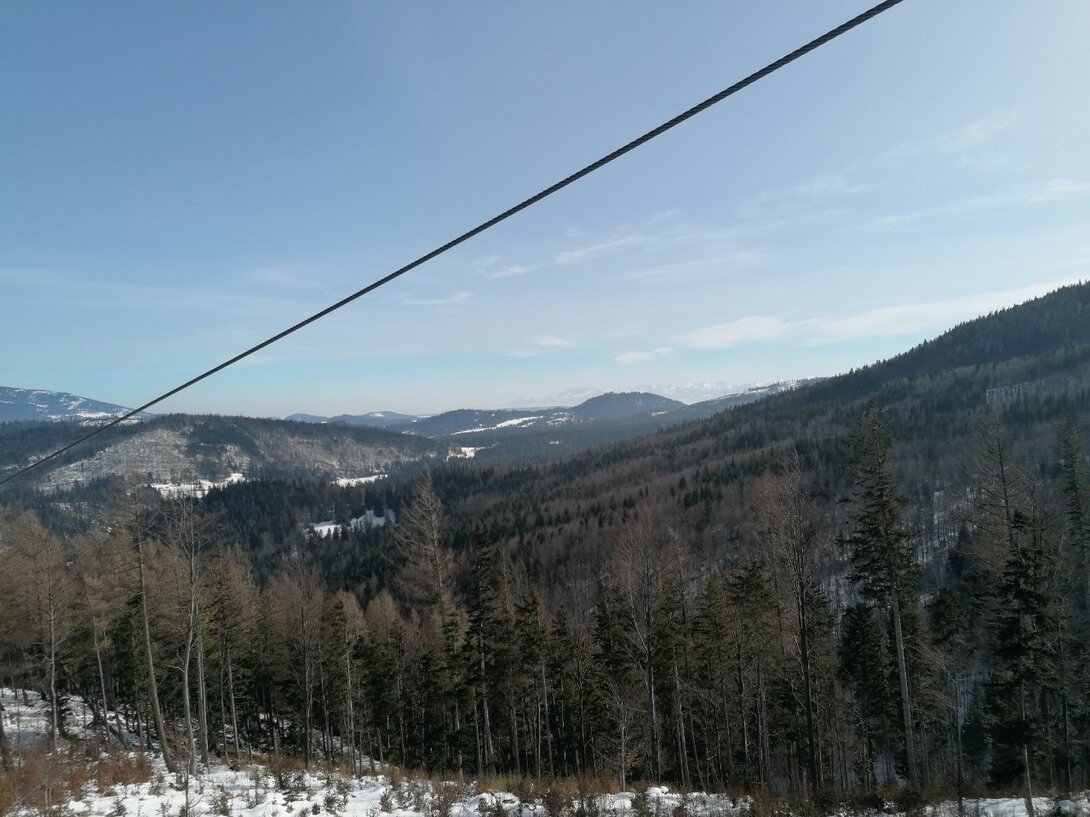 IMG_20210223_123845.jpg