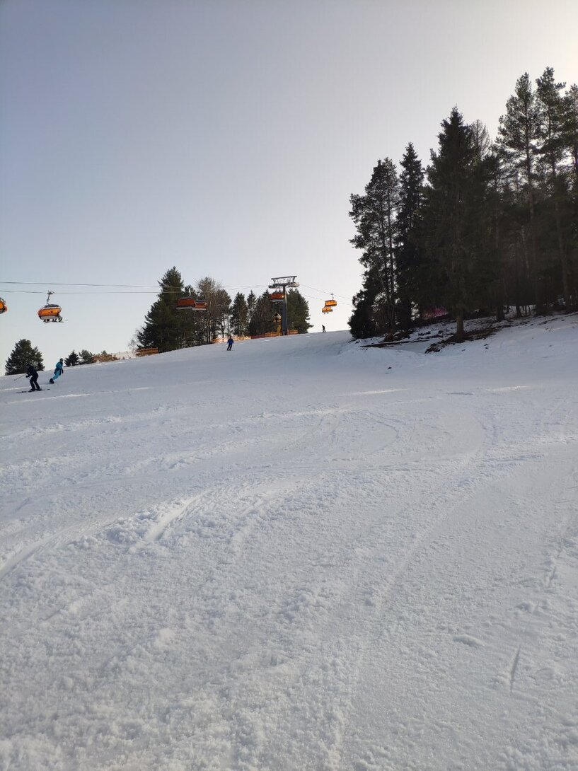IMG_20210225_140045.thumb.jpg.8a718a1099b3bc64073a694843ffaba6.jpg