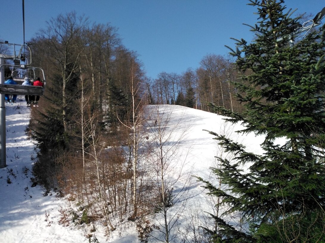 IMG_20210226_102238.jpg