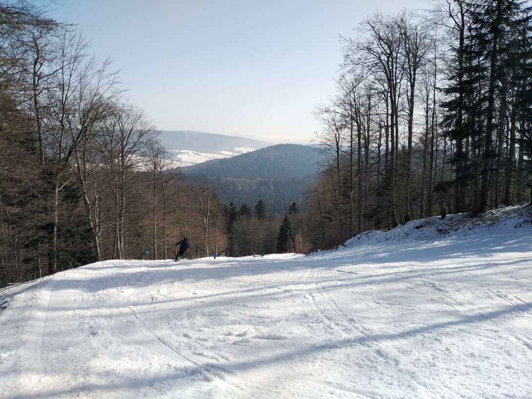 IMG_20210226_110911.jpg