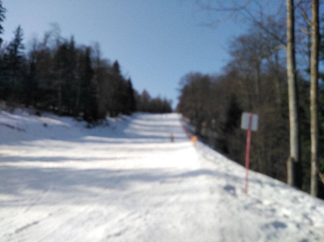 IMG_20210226_110920.jpg