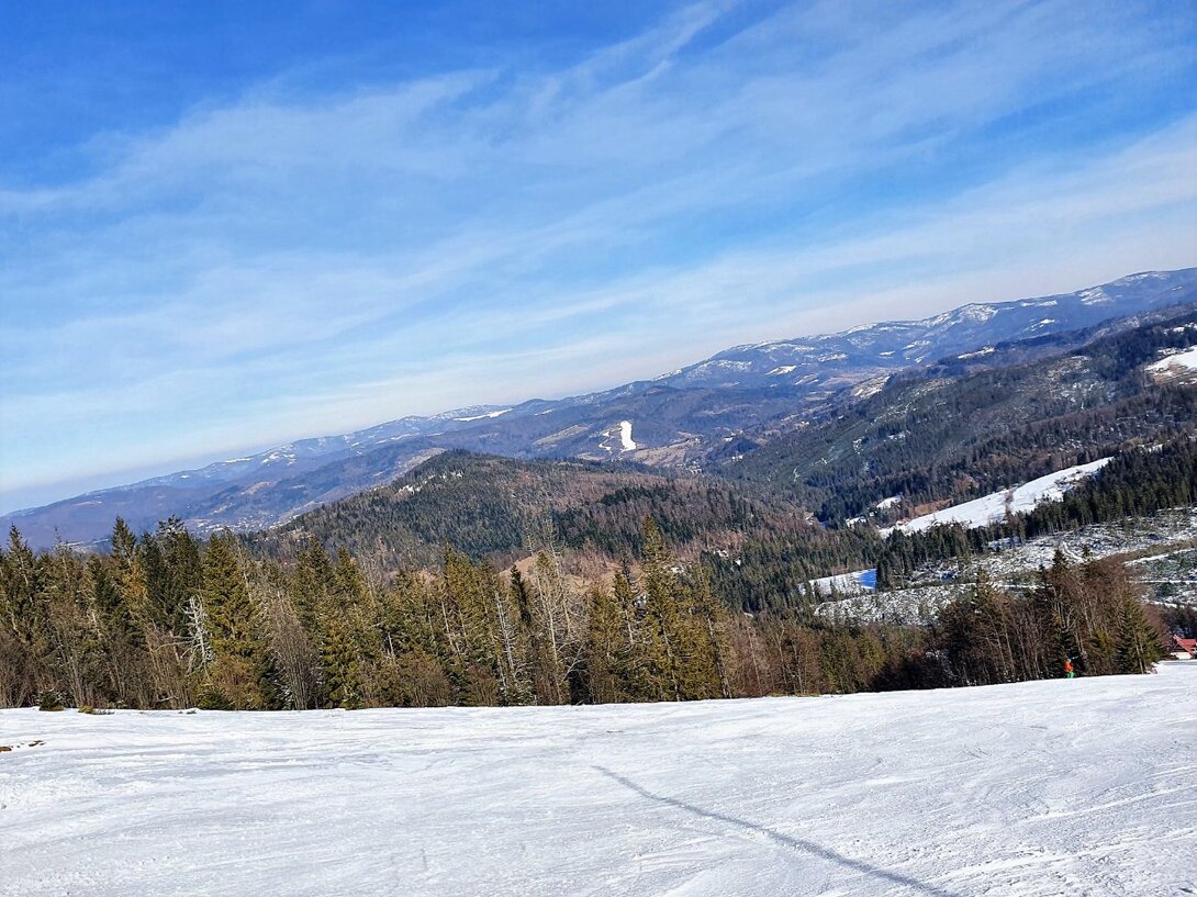 20210307_133728.jpg