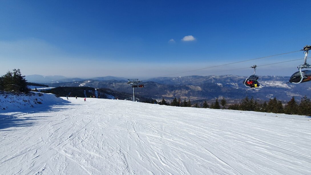 20210310_124942.jpg