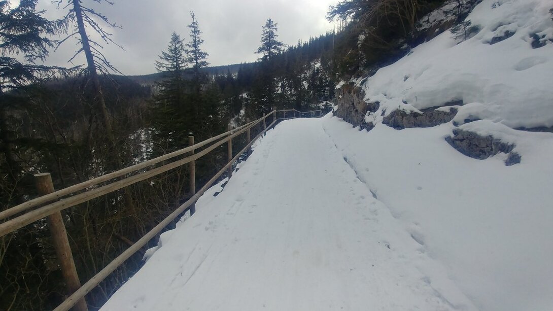 20210315_095502_HDR.jpg