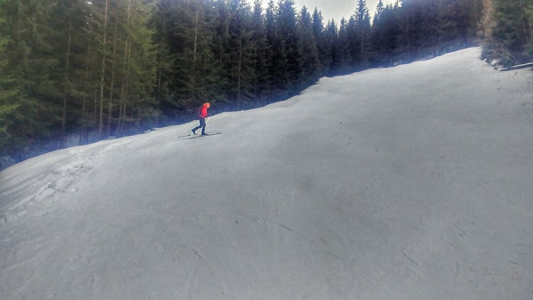 20210315_100711_HDR-01.jpeg