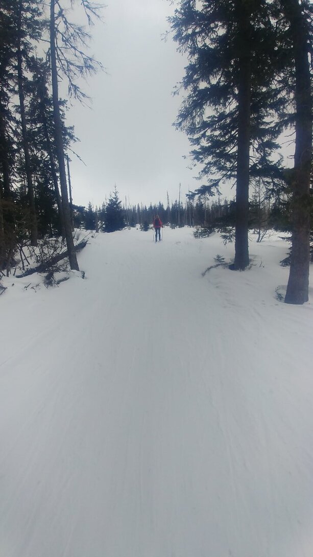 20210315_105022.jpg