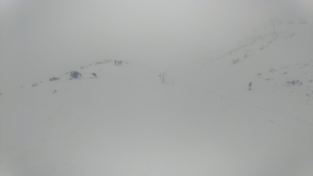 20210315_115349.jpg