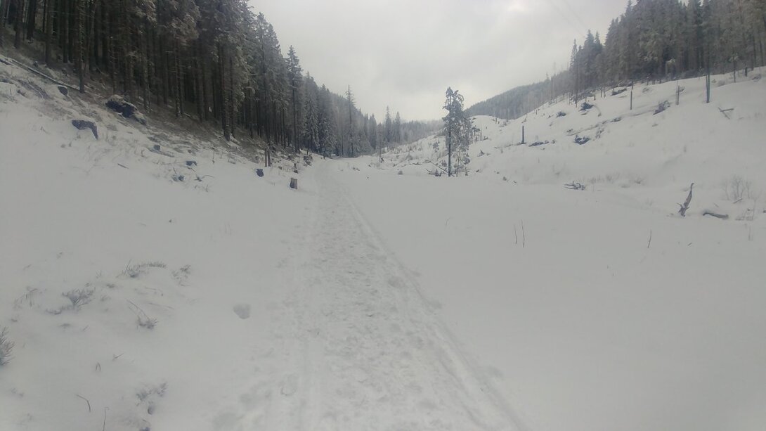 20210317_120453.jpg