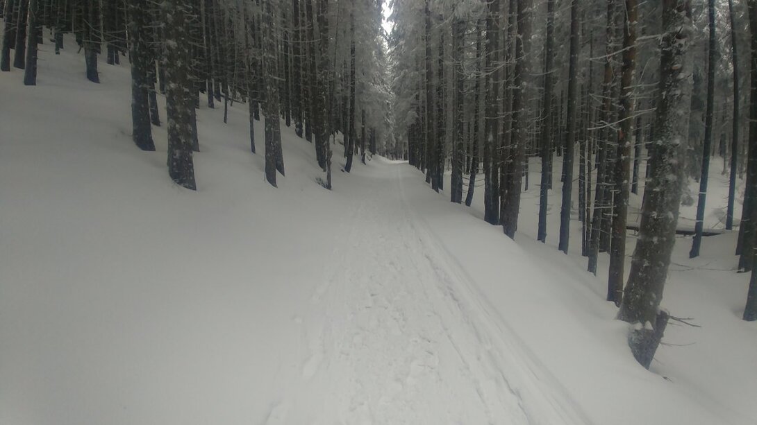 20210317_122759.jpg