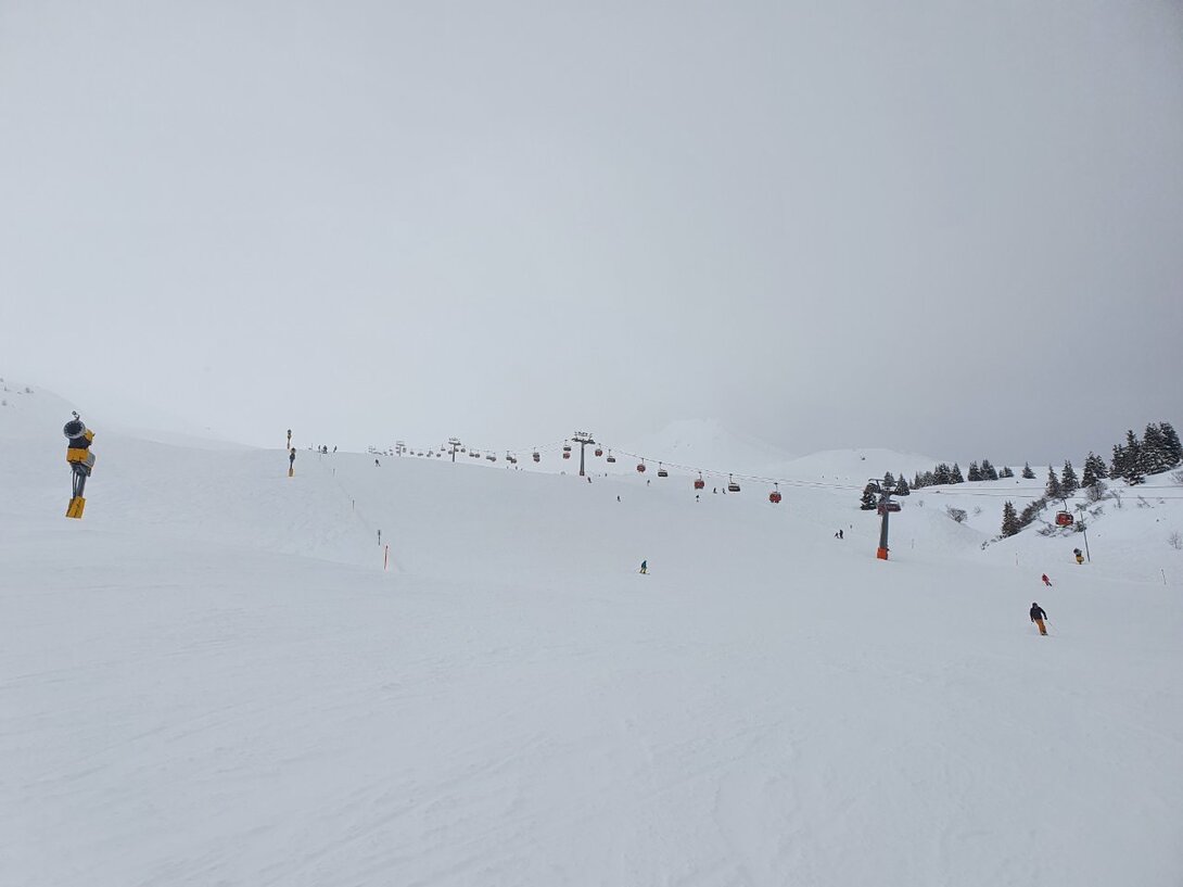 20210321_105654.jpg