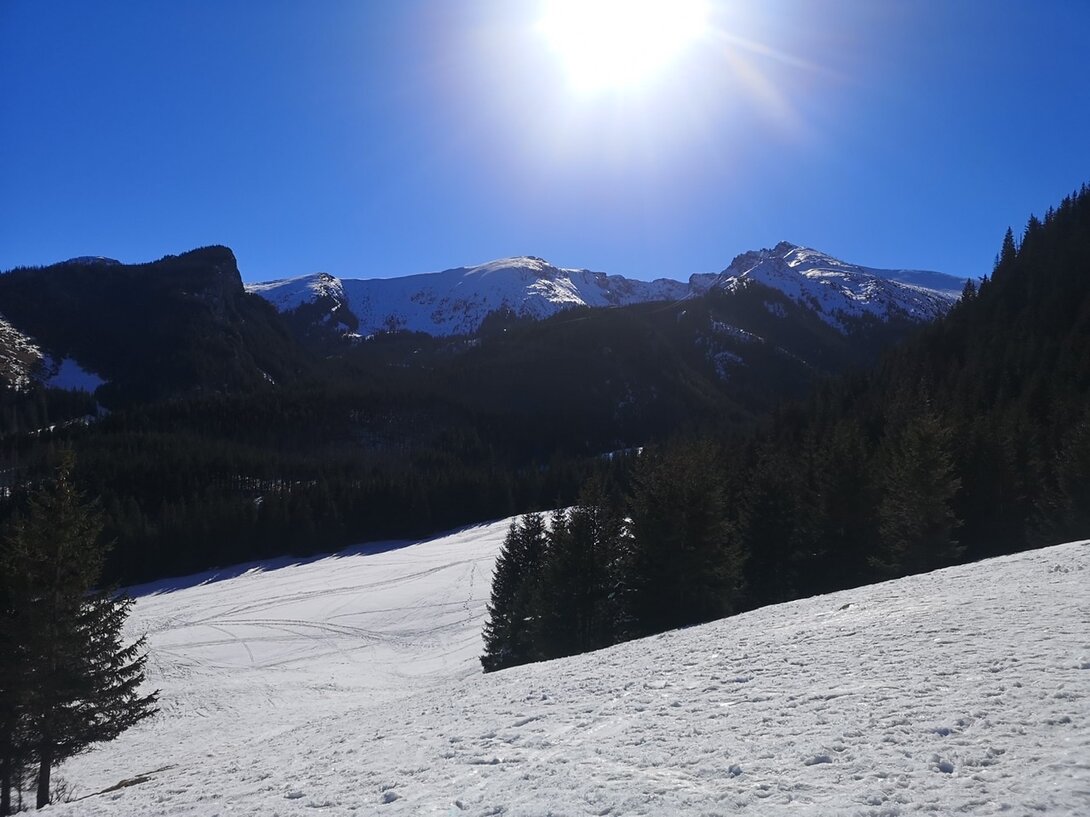 4A8A5459-56E8-43CE-802E-CA4FA565CD04.jpeg