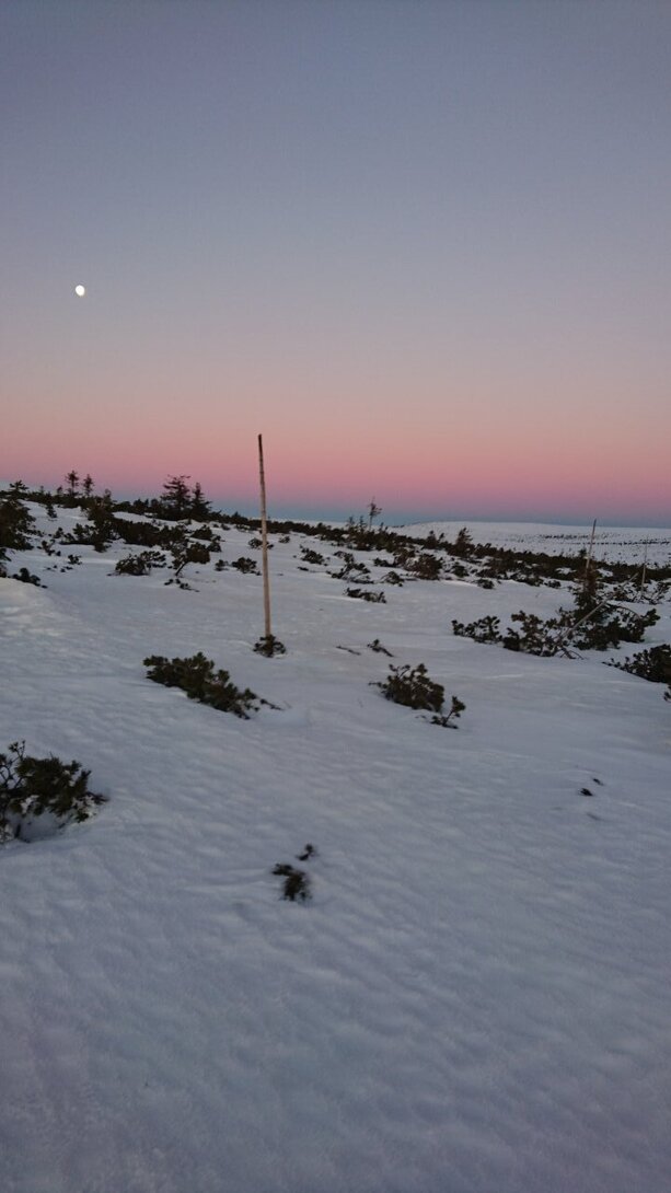 DSC_0004.JPG